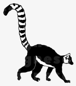 Lemur Silhouette, HD Png Download, Transparent PNG