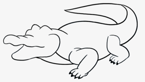 How To Draw Alligator - Drawing Of A Alligator, HD Png Download, Transparent PNG