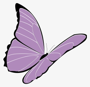 Butterfly Purple Violet Free Photo - Cartoon Flying Butterfly Png, Transparent Png, Transparent PNG
