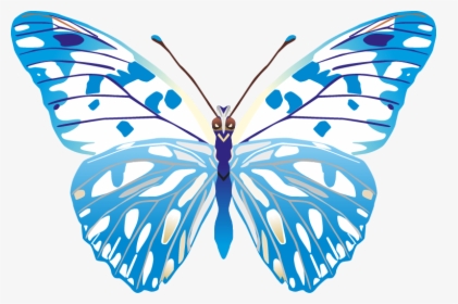 Butterfly Png Images Png - Butterfly Vector Images Png, Transparent Png, Transparent PNG