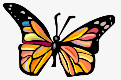 Vector Illustration Of Colorful Butterfly Winged Insect - Informations Sur Le Papillon, HD Png Download, Transparent PNG