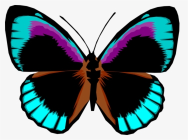 Vector Illustration Of Colorful Black And Blue Butterfly, HD Png Download, Transparent PNG