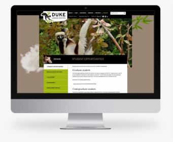 Kompleks Web Design Duke University Lemur Center - Computer Monitor, HD Png Download, Transparent PNG