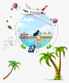 Arecaceae Coconut Euclidean Tree, HD Png Download, Transparent PNG