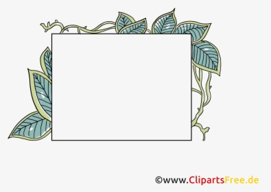 Cliparts Cadres Bordures Gratuits - Bordure Cadre, HD Png Download, Transparent PNG