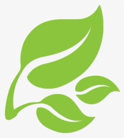 Leaf Logo Png - Transparent Green Leaf Logo, Png Download, Transparent PNG