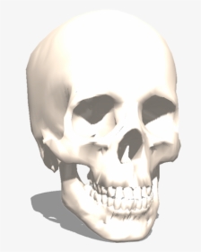 3d Printer Skull Model, HD Png Download, Transparent PNG