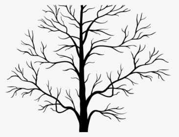 Transparent Background Tree Silhouette, HD Png Download, Transparent PNG