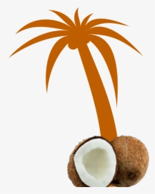 Mq Orange Palmtree Palm Coconut - Palm Tree Clip Art Vector, HD Png Download, Transparent PNG