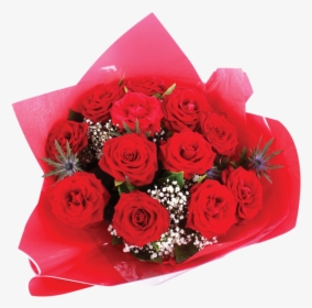 Floribunda, HD Png Download, Transparent PNG