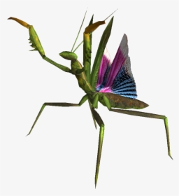 Mantis Png Picture - Fnv Mantis, Transparent Png, Transparent PNG