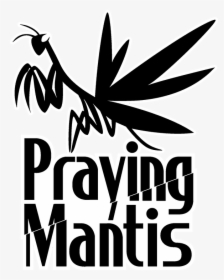 Praying Mantis Words, HD Png Download, Transparent PNG