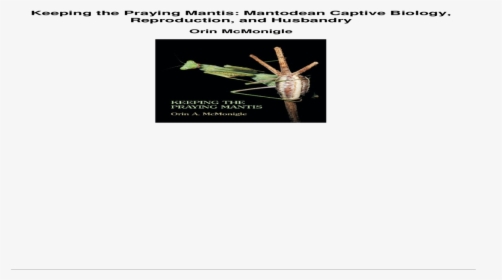Keeping The Praying Mantis Mantodean Captive Biology - Mosquito, HD Png Download, Transparent PNG