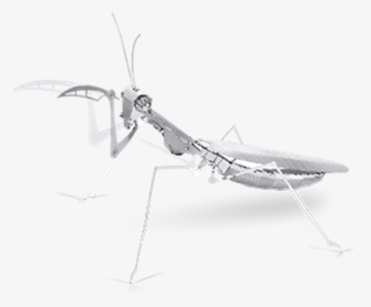 Metal Earth Insects, HD Png Download, Transparent PNG