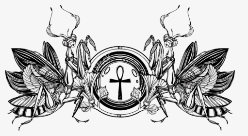 Vintage Style Png Download - Mantis, Transparent Png, Transparent PNG