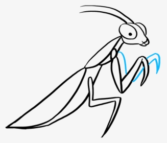 How To Draw Praying Mantis - Draw A Easy Praying Mantis, HD Png Download, Transparent PNG