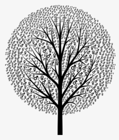 Gender Symbol Tree Female - Transparent Background Bare Tree Clipart, HD Png Download, Transparent PNG
