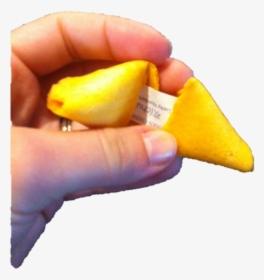Fortune Cookie, HD Png Download, Transparent PNG