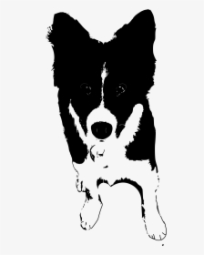 Border Collie Rough Collie Puppy Clip Art - Dogs Clipart Black And White Collie, HD Png Download, Transparent PNG