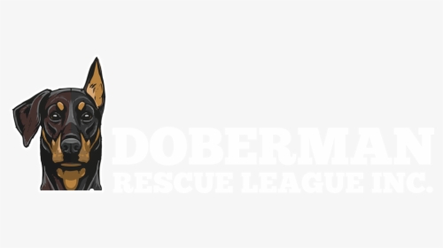 Doberman Rescue League, HD Png Download, Transparent PNG