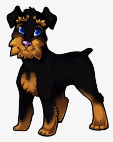 Airedale Terrier, HD Png Download, Transparent PNG