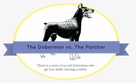 Doberman-panther - Miniature Schnauzer, HD Png Download, Transparent PNG