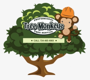 Tree Monkey Tree Service - Green Monkey Tree Service, HD Png Download, Transparent PNG