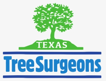 Tree, HD Png Download, Transparent PNG