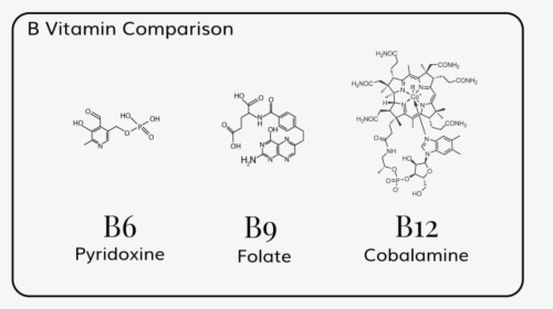 Vitamin B Comparison - Chemical Structure Of Vitamin B, HD Png Download, Transparent PNG