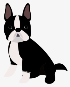 Boston Terrier Puppy Dog Breed Companion Dog French - Transparent Boston Terrier Clipart, HD Png Download, Transparent PNG