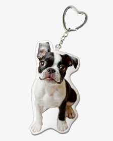 Boston Terrier Keychain, HD Png Download, Transparent PNG