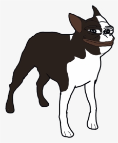 Boston Terrier Pepe, HD Png Download, Transparent PNG