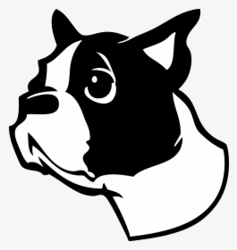 Vector Boston Terrier Lines, HD Png Download, Transparent PNG