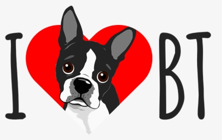 Boston Terrier, HD Png Download, Transparent PNG