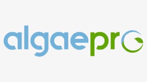Algae - Aceproject, HD Png Download, Transparent PNG