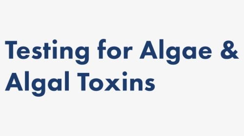 Testing For Algae And Algal Toxins - Printing, HD Png Download, Transparent PNG