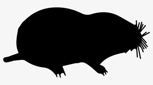Mole Mammal Animal Shape - Mammal, HD Png Download, Transparent PNG