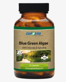 Blue Green Algae - Spirulina Supherb, HD Png Download, Transparent PNG