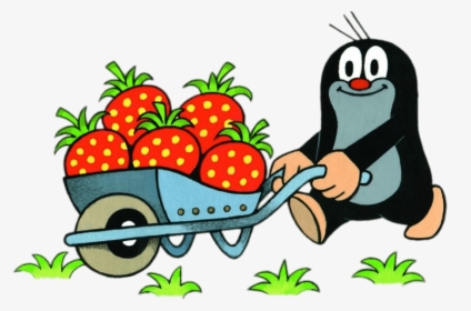 Little Mole Collecting Strawberries In A Wheelbarrow - Mole, HD Png Download, Transparent PNG