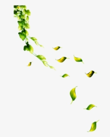 Petal Leaf Flower - 落叶 素材, HD Png Download, Transparent PNG