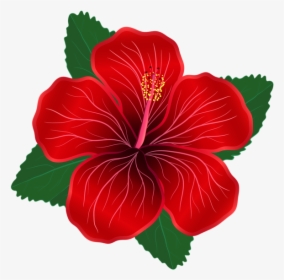 Rose Cliparts Png Hibiscus - Red Flower Clipart Png, Transparent Png, Transparent PNG