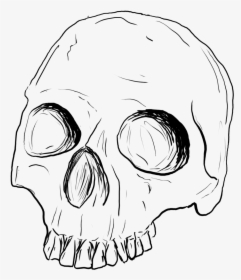 Drawing Medium Skull - Skull Sketch Png, Transparent Png, Transparent PNG