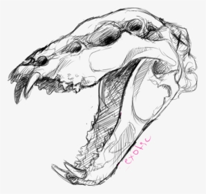Animal Skull Drawing At Getdrawings - Drawings Of Animal Skulls, HD Png Download, Transparent PNG