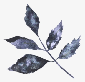 Twig, HD Png Download, Transparent PNG