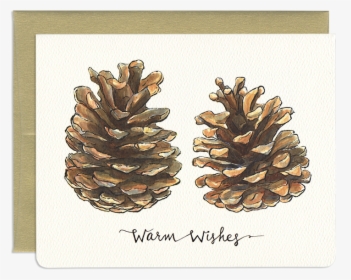 Nature Holiday Greeting Card - Pine Cone Puns, HD Png Download, Transparent PNG