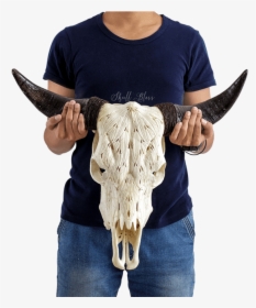 Carved Cow Skull // Xl Horns - Mandala Bull Skull Painted, HD Png Download, Transparent PNG