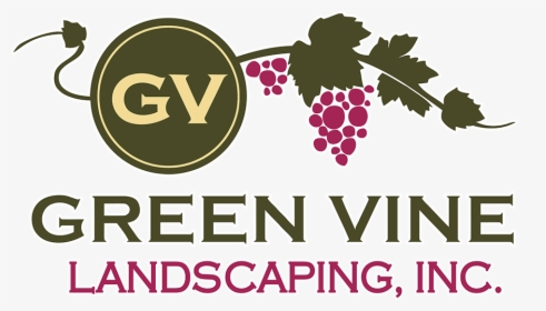 Green Vine Landscaping Logo - Graphic Design, HD Png Download, Transparent PNG