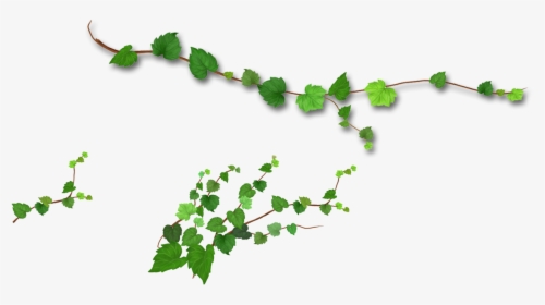 Branch Leaf Tree - Realistic Green Leaves Png, Transparent Png, Transparent PNG