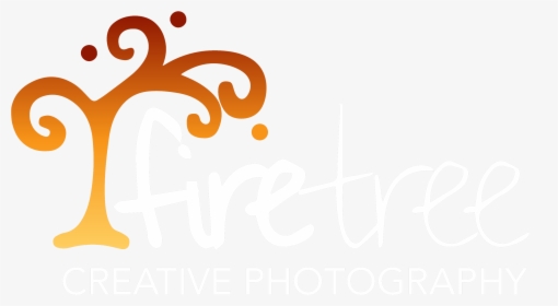 Sam Photography Logo 2019, HD Png Download, Transparent PNG