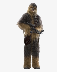 Chewbacca Star Wars Ep7 The Force Awakens Characters - Transparent Star Wars Characters, HD Png Download, Transparent PNG
